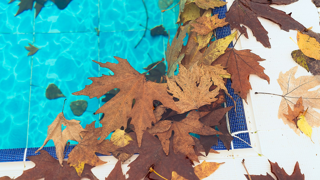Swimming pool in the autumn
